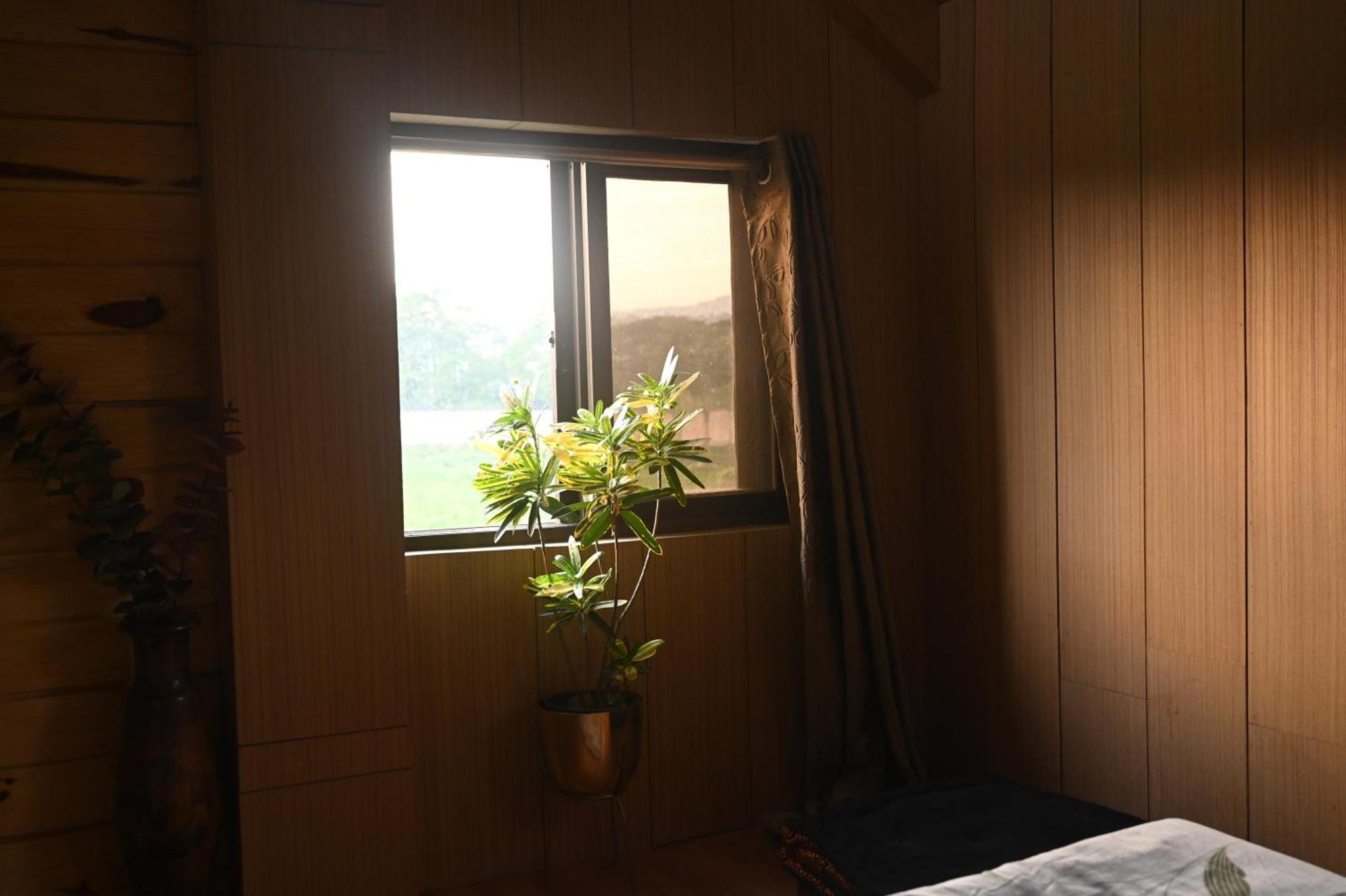 グワーハーティー The Cabin By The Bayou Bed & Breakfast エクステリア 写真